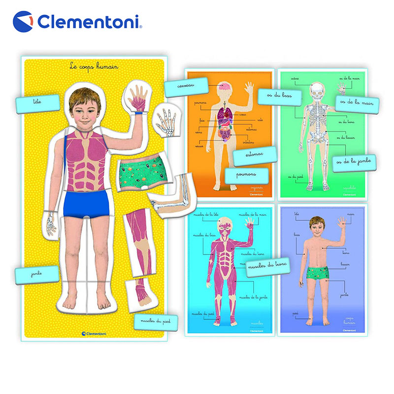 Le Corps Humain Montessori – Clementoni – Image 3