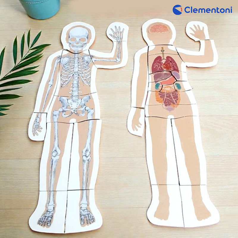 Le Corps Humain Montessori – Clementoni – Image 5
