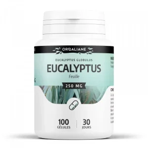 Eucalyptus 100 gélules