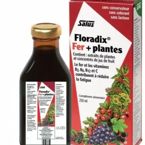 Floradix® Fer + Plantes Liquide – 250 ml