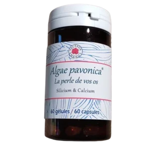 Padina Pavonica 60 gélules