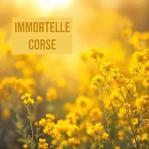 Parfum Immortelle Corse – Bouquet, recharge et Spray d&rsquo;ambiance