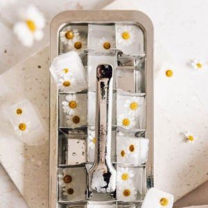 Bac à glaçons en acier inoxydable