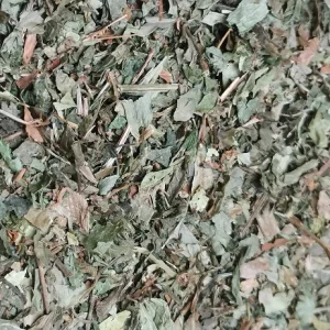 Bardane Grande (feuille) 100 g