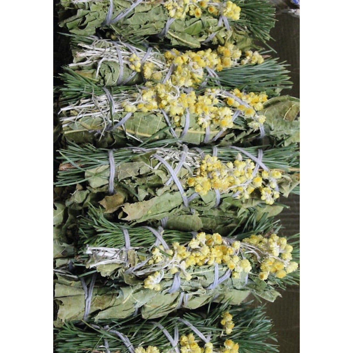 Le bouquet de l’ours – Image 5