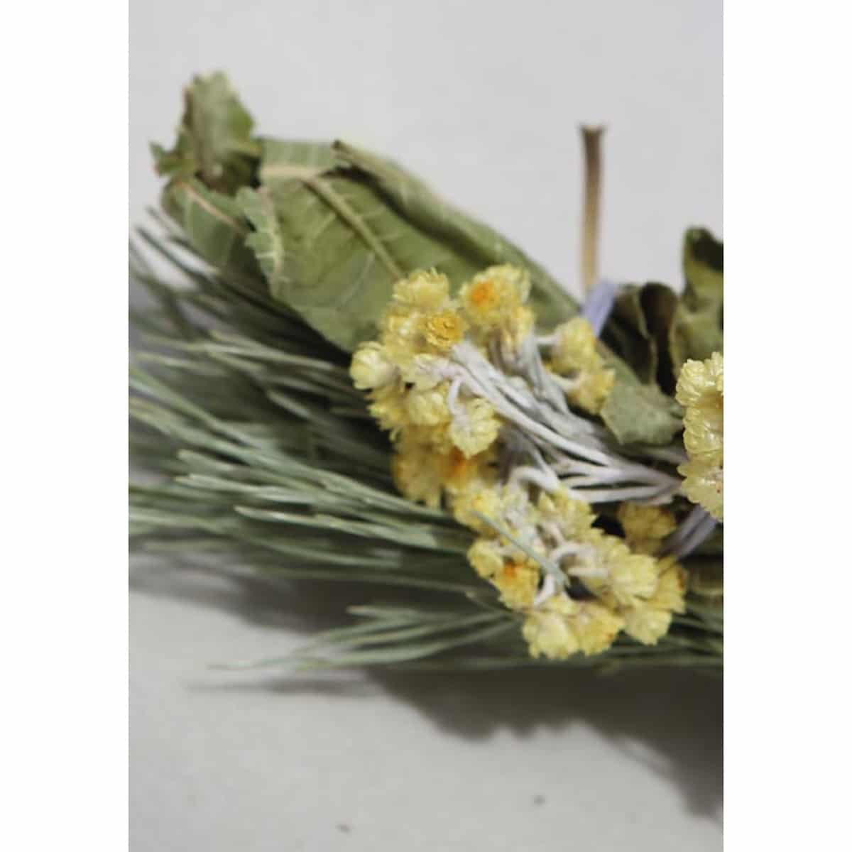 Le bouquet de l’ours – Image 4