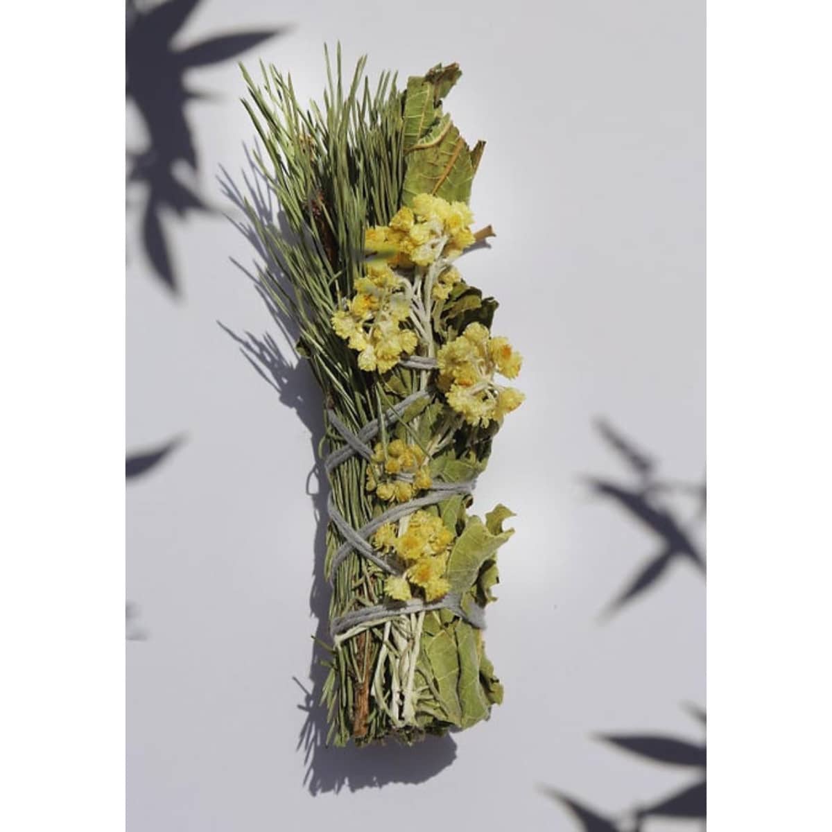Le bouquet de l’ours – Image 6