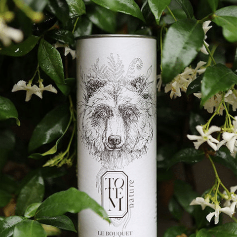 Le bouquet de l’ours