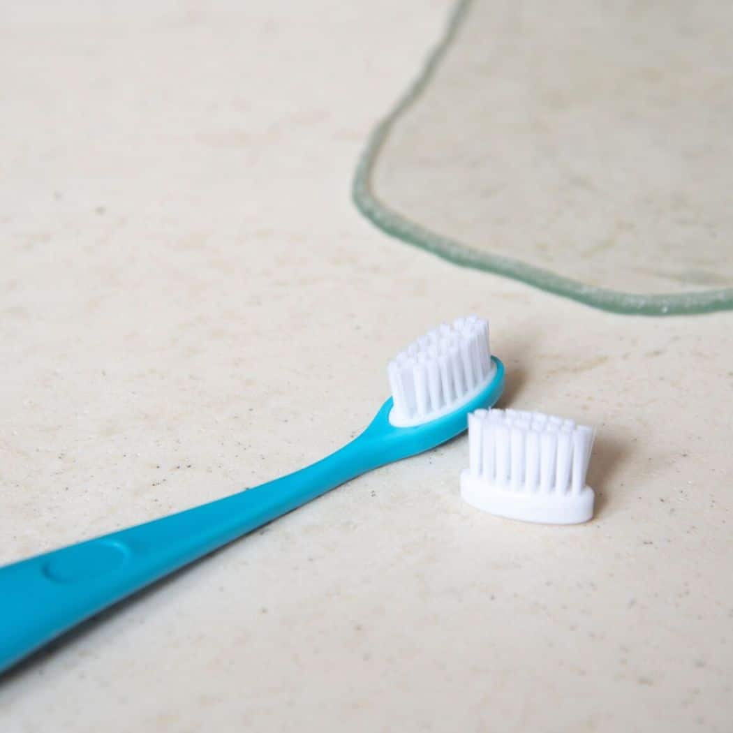 Boîte de 2 têtes pour brosse à dents enfant Caliquo – Image 3