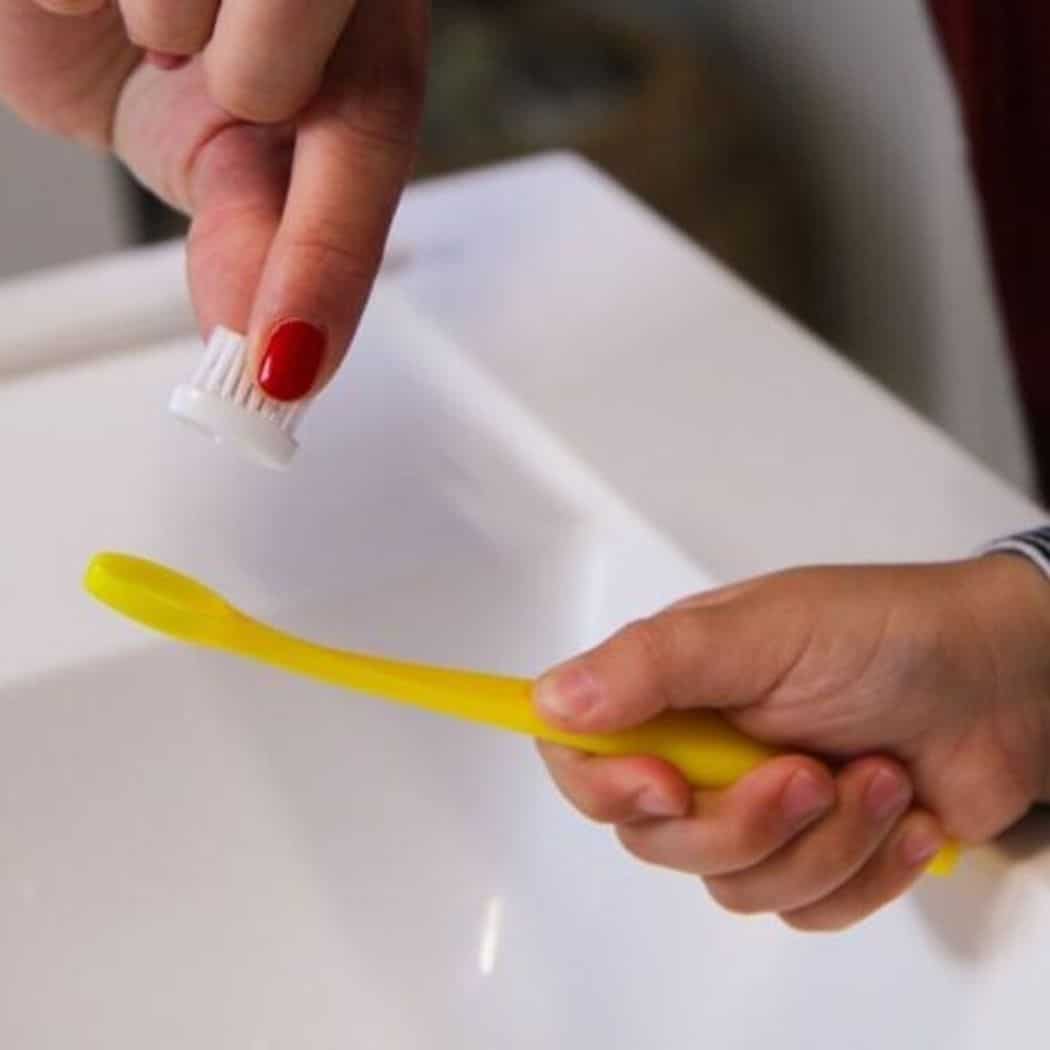 Boîte de 2 têtes pour brosse à dents enfant Caliquo – Image 4