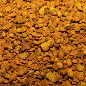 Curcuma (racine)