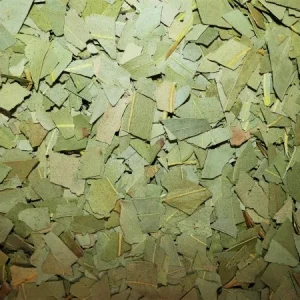 Eucalyptus (feuille) 200 g