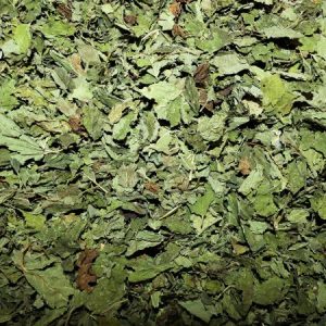 Mélisse (feuille)