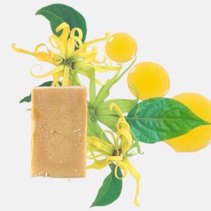 Savon bio à l&rsquo;huile d&rsquo;Argan – Louise Emoi
