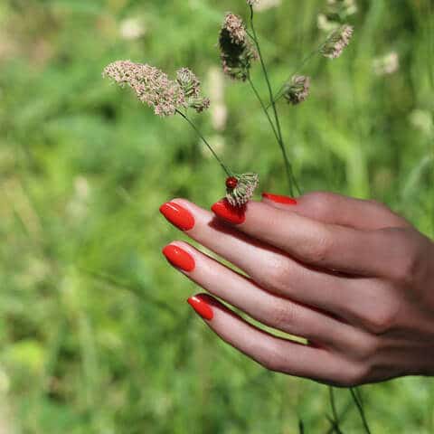 Vernis semi-permanent – RED CORAL – Manucurist – Image 6