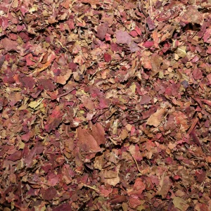 Vigne Rouge (feuille)